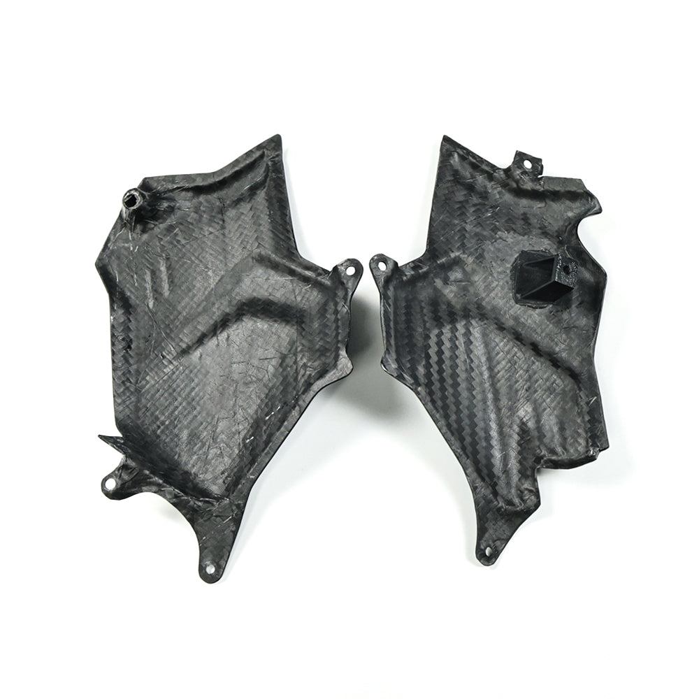 AISKA Ducati Panigale V2 2025+ Carbon Fiber Engine Cover