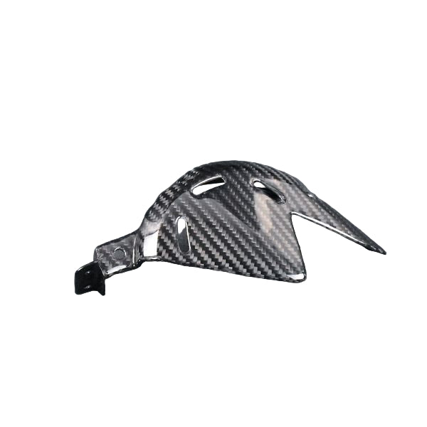 AISKA Dry Carbon Fiber Motorcycle Accessories to the Cam Cover Housing for  Ducati Panigale  V4 V4S V4R 2018-2024