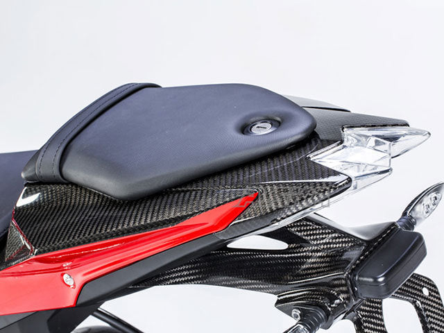 AISKA Motorcycle ABS Carbon Fiber Exterior Rear Seat Tail Lamp Cover Rear Lamp Cover Fairing for BMW S1000RR S 1000RR 2015-2018