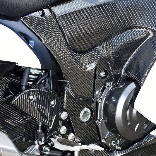 AISKA Suzuki Hayabusa GSX-1300R Gen 3 2021-2025 Carbon Fiber Frame Cover