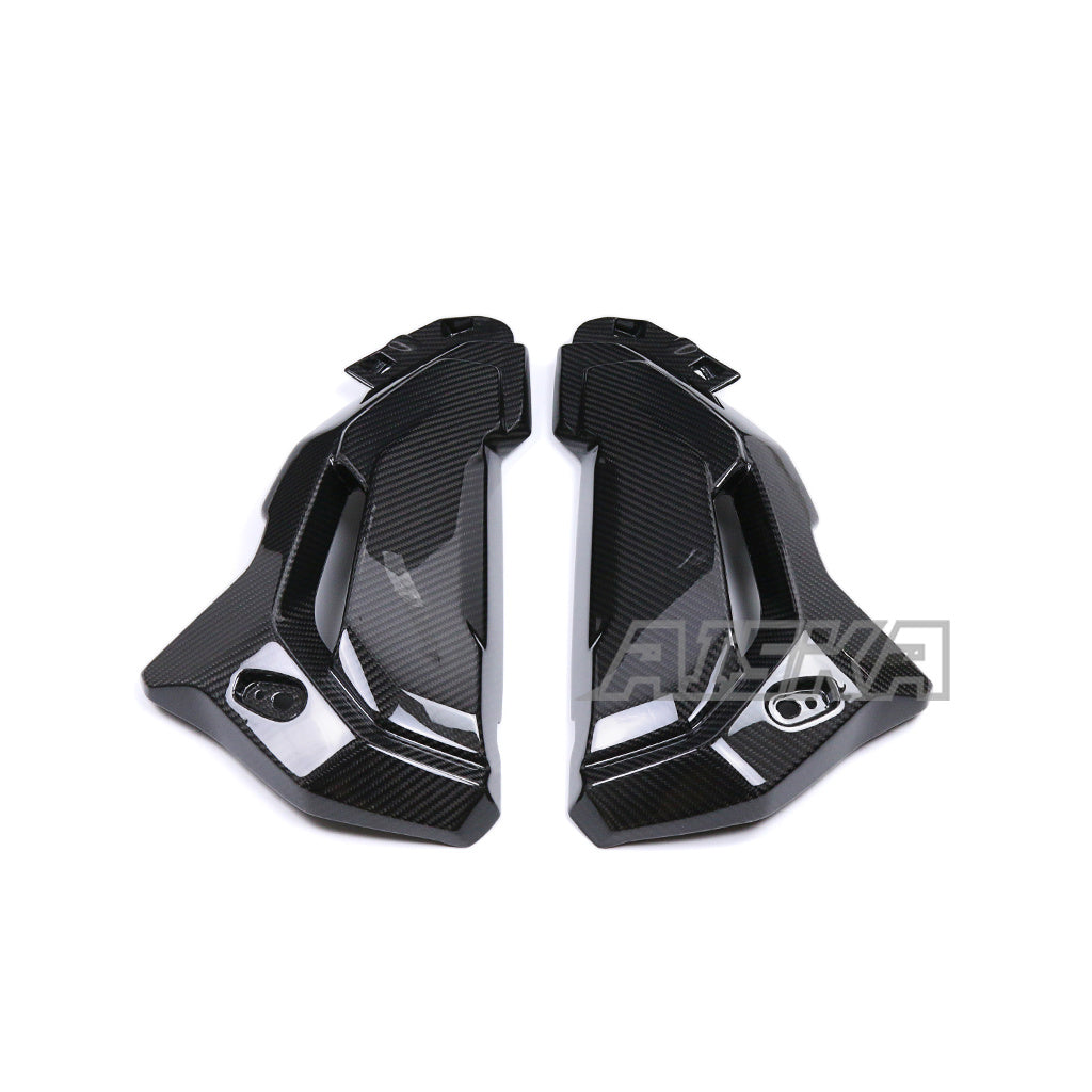 AISKA BMW S1000XR 2020-2024 Carbon Fiber Water Tank Guard