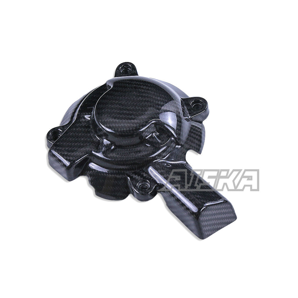 AISKA BMW M1000R 2023-2025 Carbon Fiber Engine Cover