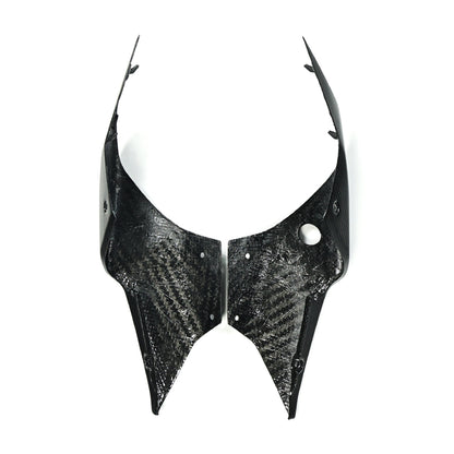 AISKA Kawasaki Z900 2025+ Carbon Fiber Tail Fairings