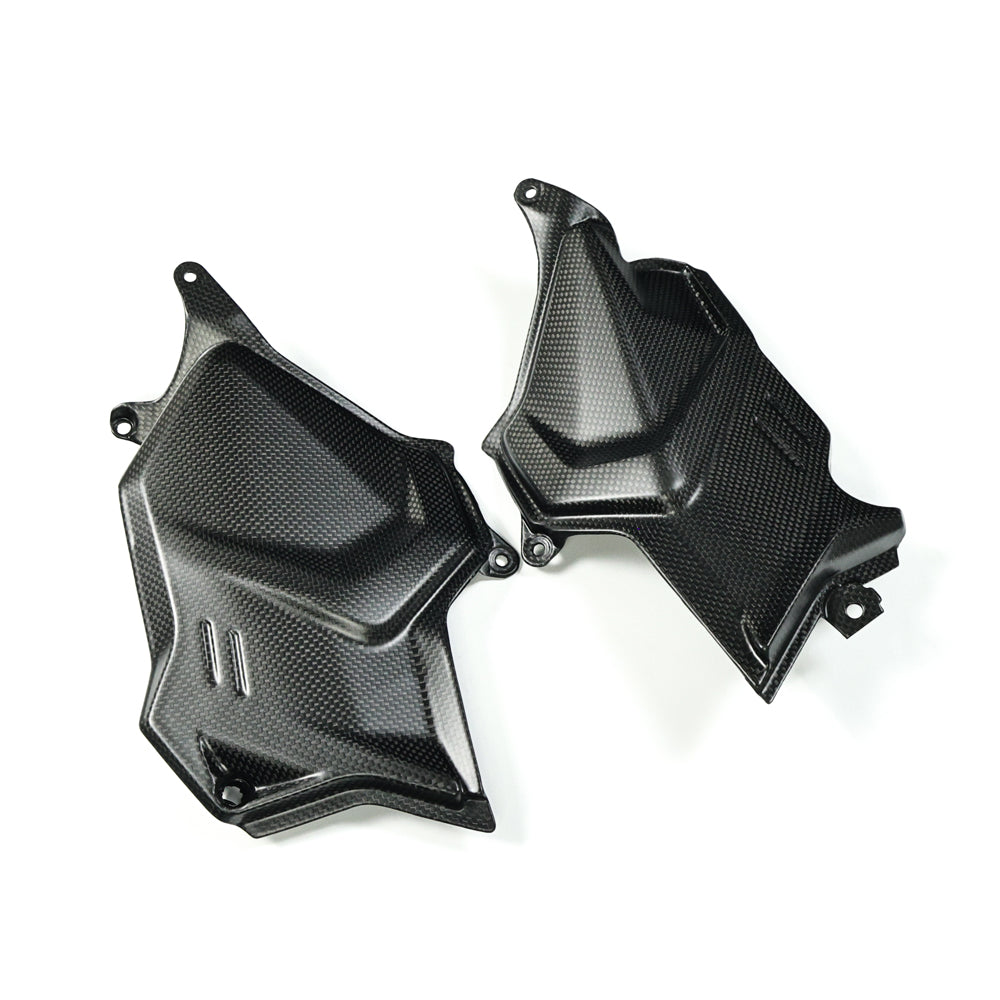 AISKA Ducati  Panigale V2 2025+ Carbon Fiber Engine Cover