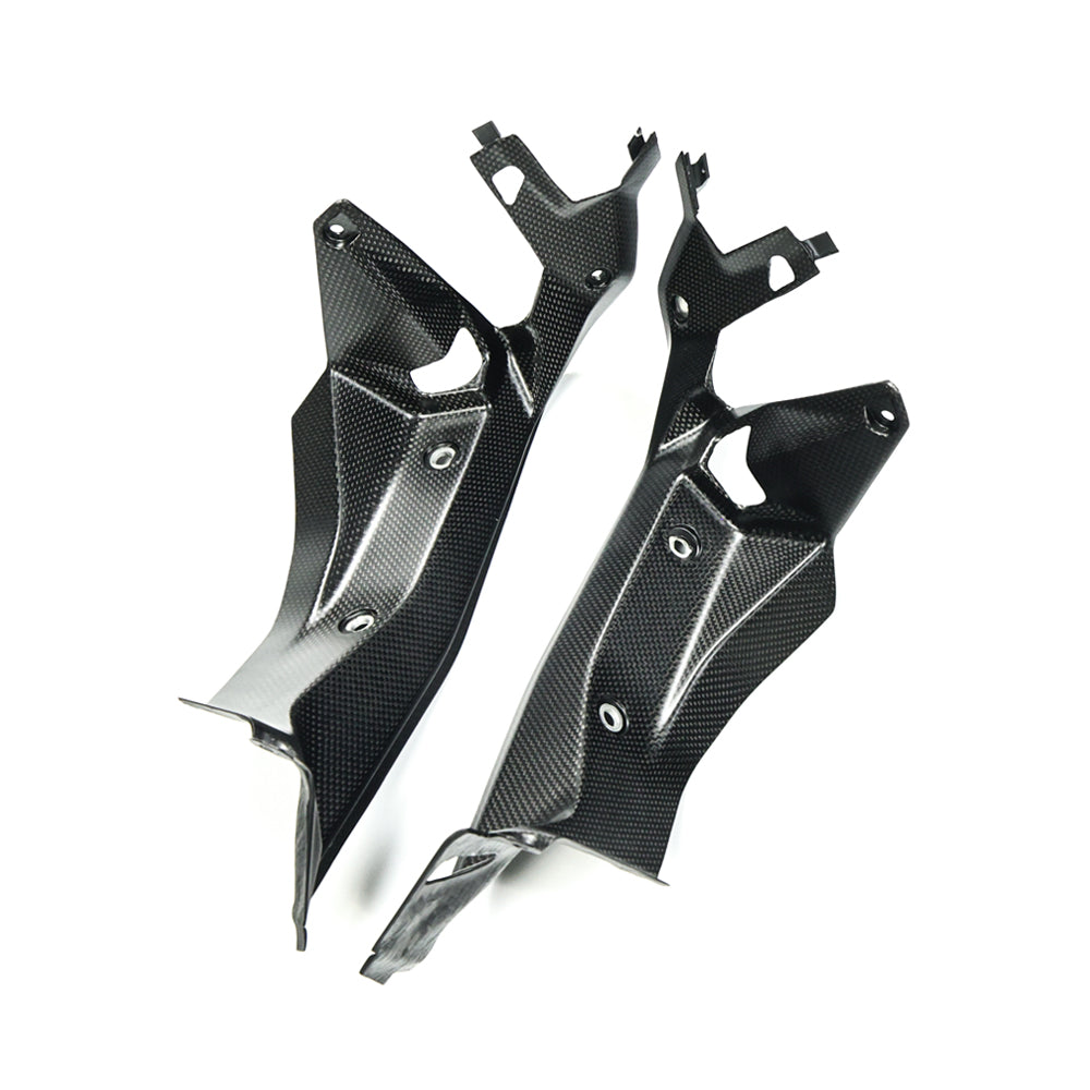 AISKA Ducati  Panigale V2 2025+ Carbon Fiber Inner Side Panels