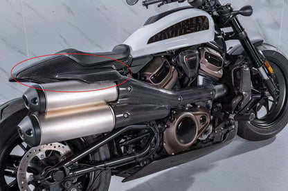 AISKA 3K Pure Carbon Fiber Motorcycle Accessories Tailstock Rear Seat Side Panel for Harley Davidson Sportster S 1250