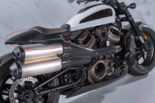 AISKA 3K Pure Carbon Fiber Motorcycle Accessories Tailstock Rear Seat Side Panel for Harley Davidson Sportster S 1250