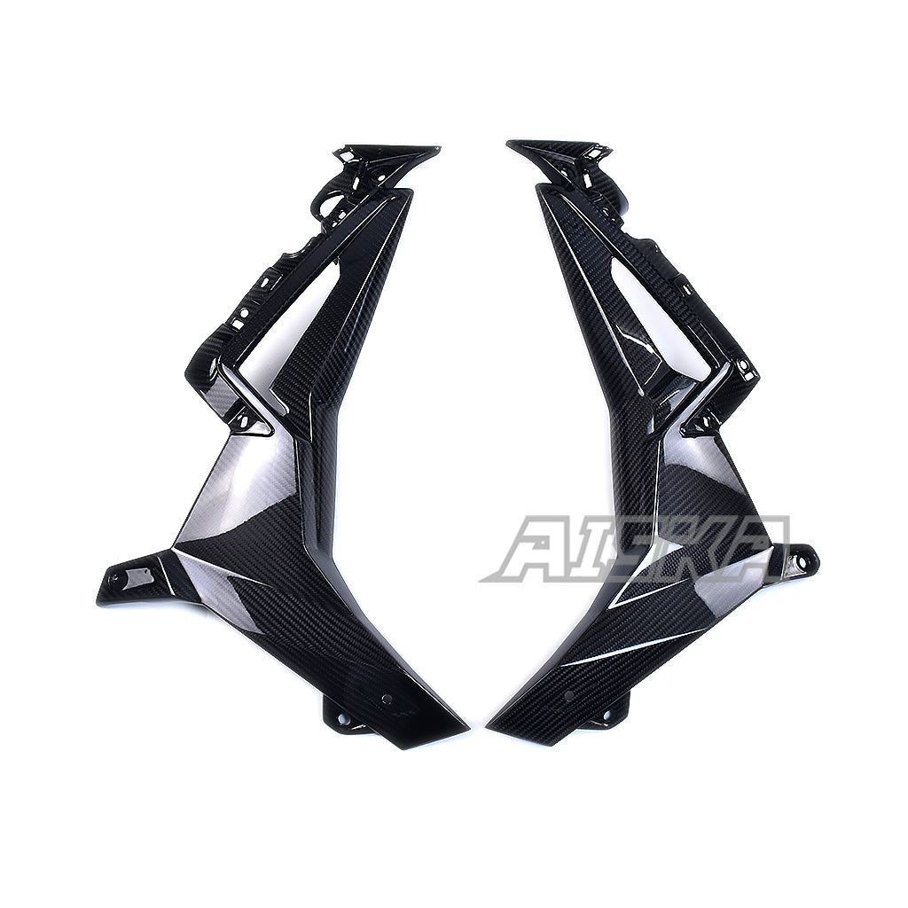 AISKA BMW S1000R 2021-2024 Carbon Fiber Inner Side Fairings