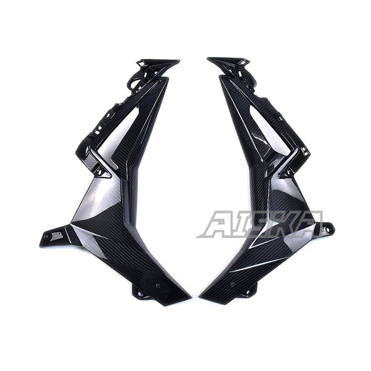 AISKA BMW S1000R 2021-2024 Carbon Fiber Inner Side Fairings