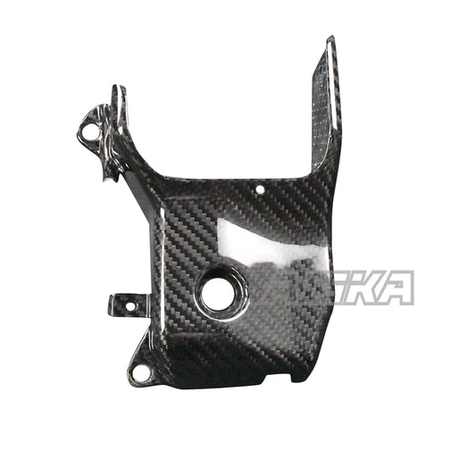 AISKA Ducati Panigale V4 V4S V4R 2018-2021 Carbon Fiber Side Panel Cover