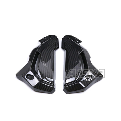 AISKA BMW S1000XR 2020-2024 Carbon Fiber Water Tank Guard