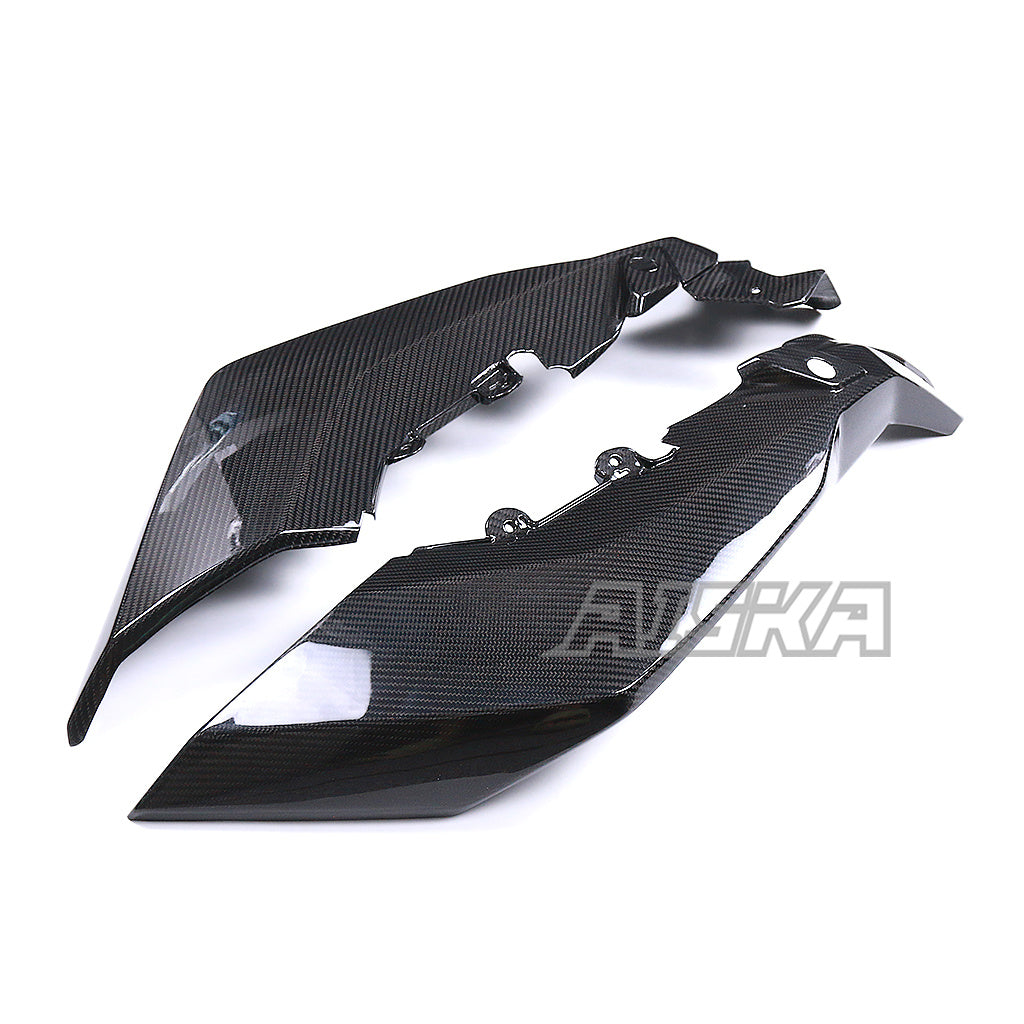 AISKA BMW M1000XR 2024-2026 Carbon Fiber Side Panel