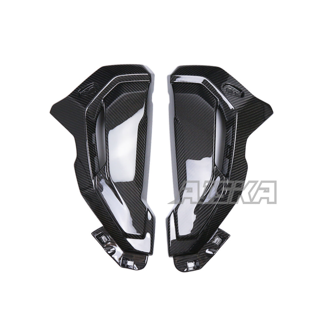 AISKA BMW S1000XR 2020-2024 Carbon Fiber Water Tank Guard