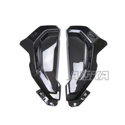 AISKA BMW S1000XR 2020-2024 Carbon Fiber Water Tank Guard