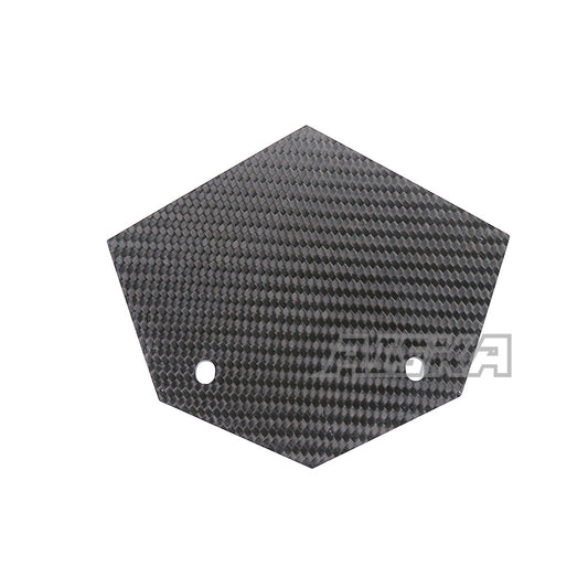 AISKA BMW S1000RR 2019-2022 Carbon Fiber Tail Cover Plate