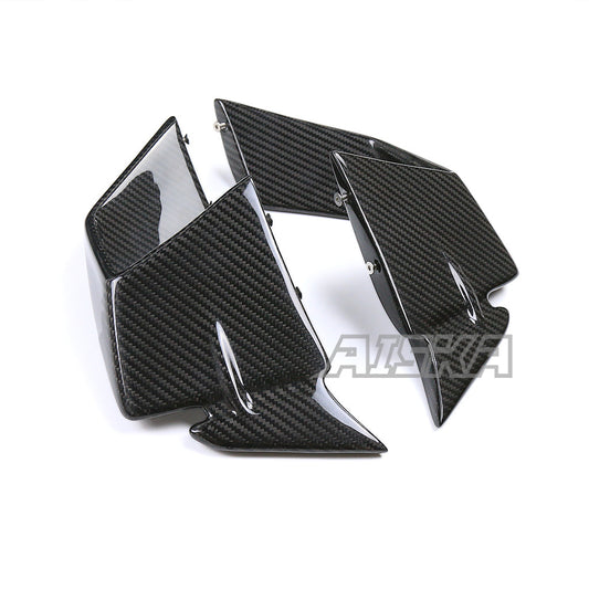 AISKA BMW S1000RR 2019-2022 Carbon Fiber Winglets