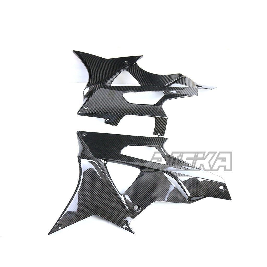 AISKA BMW S1000RR 2009-2014 Carbon Fiber Belly Pans