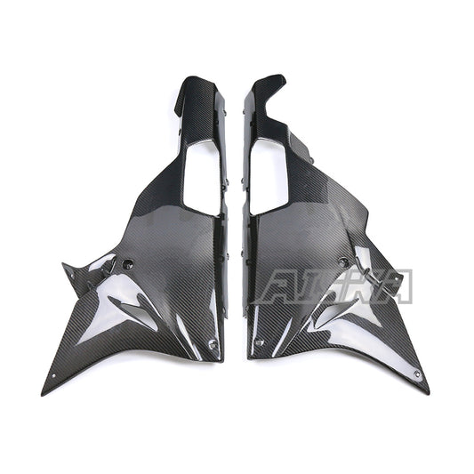 AISKA BMW S1000RR 2015-2018 Carbon Fiber Belly Pan