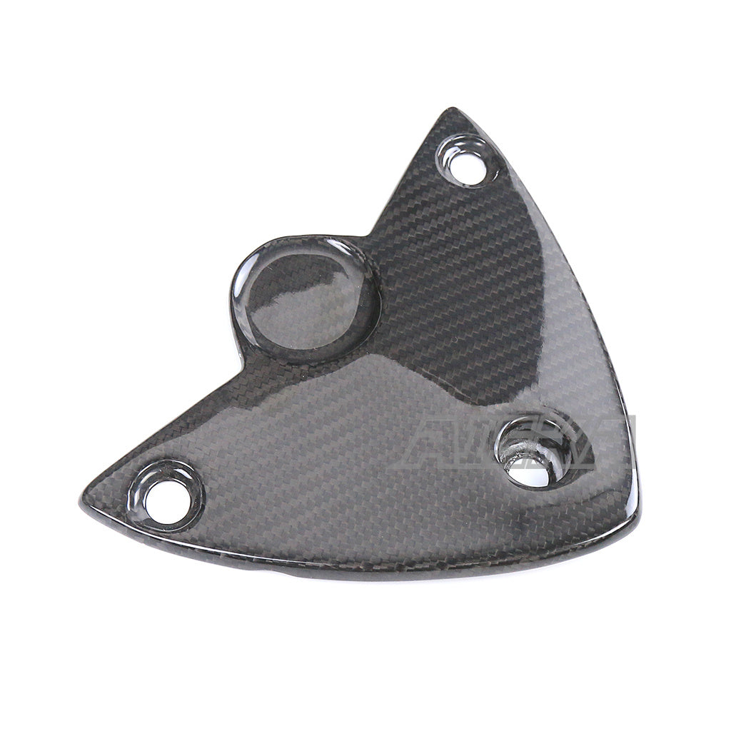AISKA BMW S1000R 2014-2020 Carbon Fiber Undertail Cover Fender