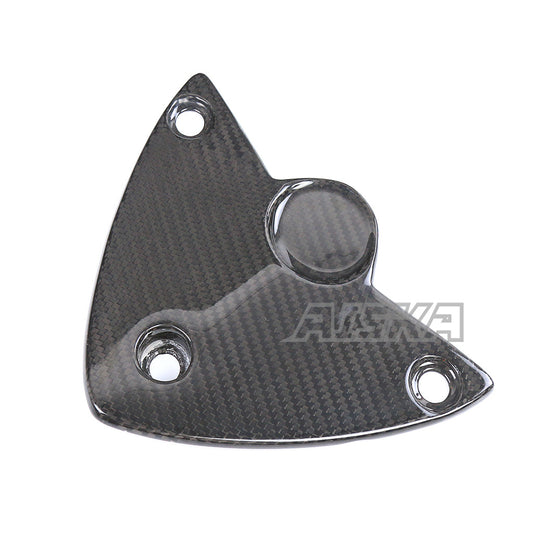 AISKA BMW S1000RR 2019-2022 Carbon Fiber Undertail Cover Fender