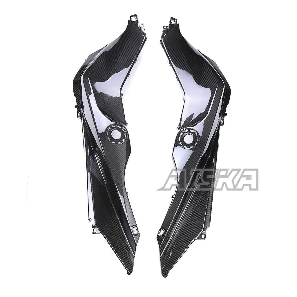 AISKA BMW S1000XR 2020-2024 Carbon Fiber Side Tank Cover