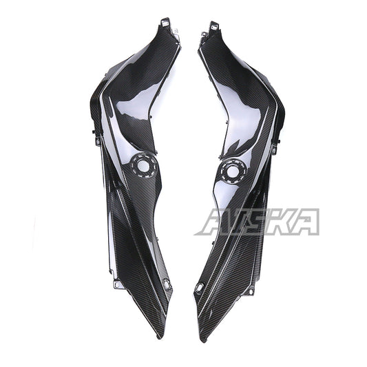 AISKA BMW S1000XR 2020-2024 Carbon Fiber Side Tank Cover