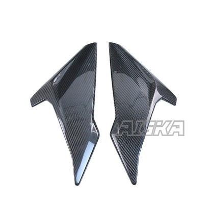 AISKA BMW S1000R 2014-2020 Carbon Fiber Side Panels