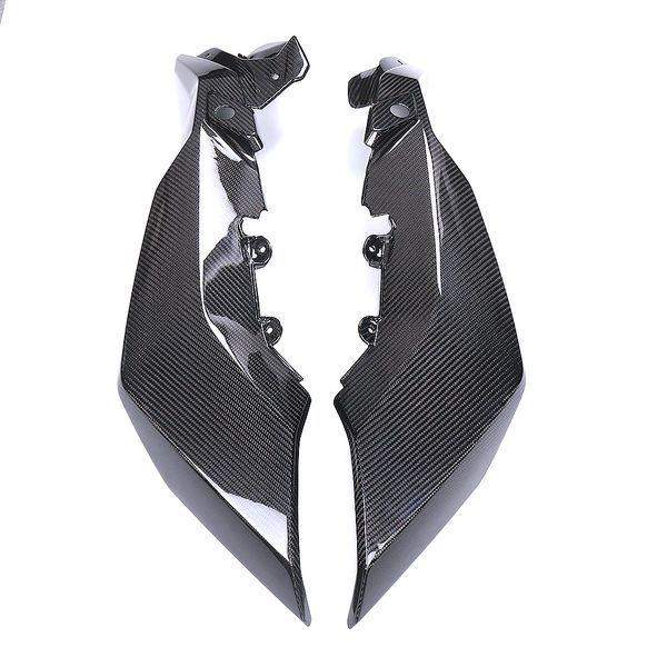 AISKA BMW M1000XR 2024-2026 Carbon Fiber Side Panel