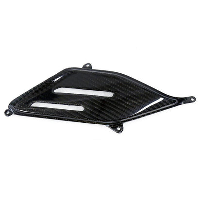 AISKA Carbon Fiber Motorcycle Accessories For Ducati Panigale V4 V4S V4R 2018-2021  Side Cushion of Abdominal Plate